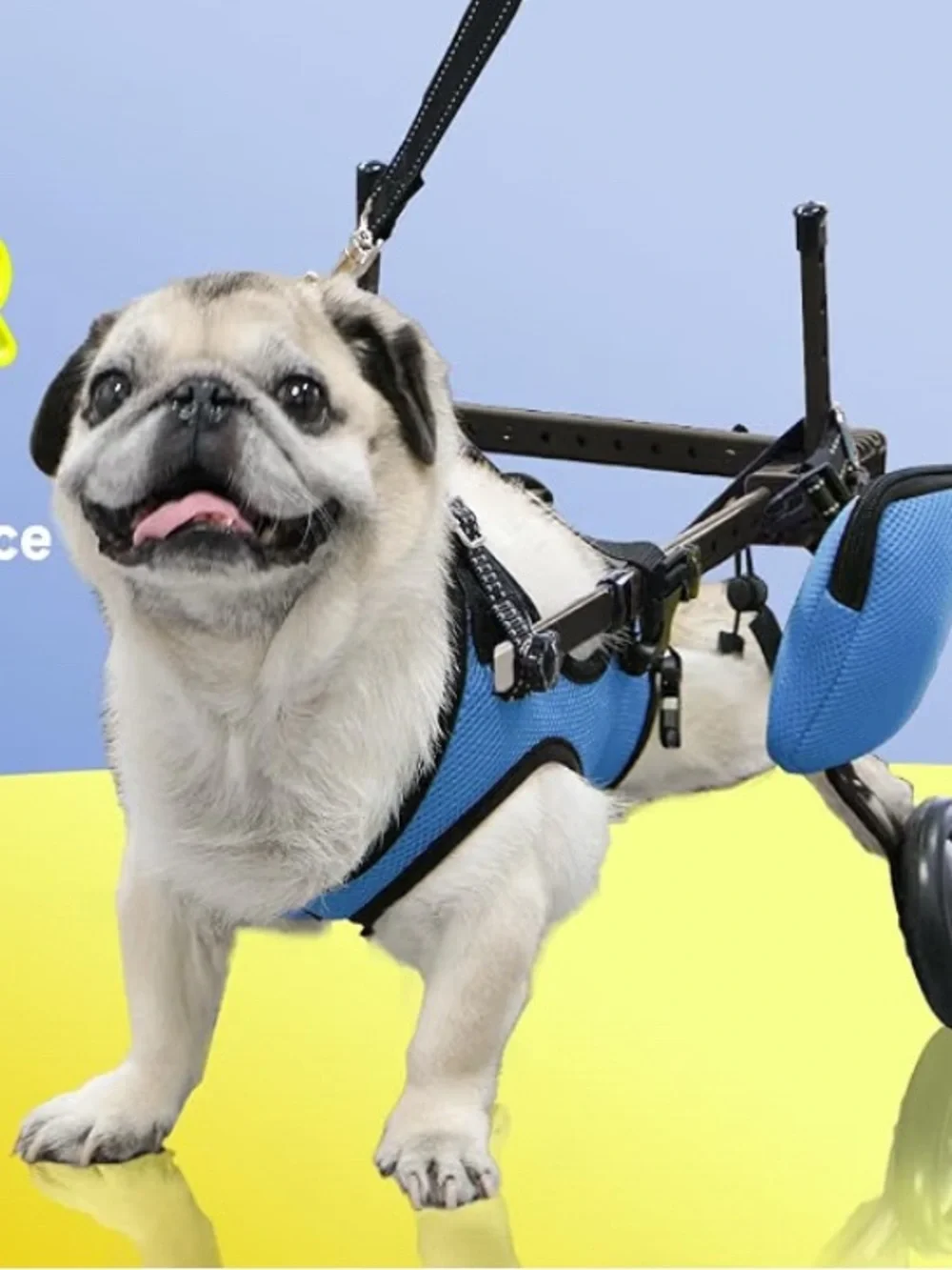 Adjustable Dog Wheelchair Harness S